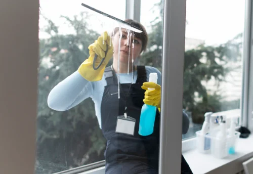 Nettoyage de vitres intérieures et extérieures à Rosay